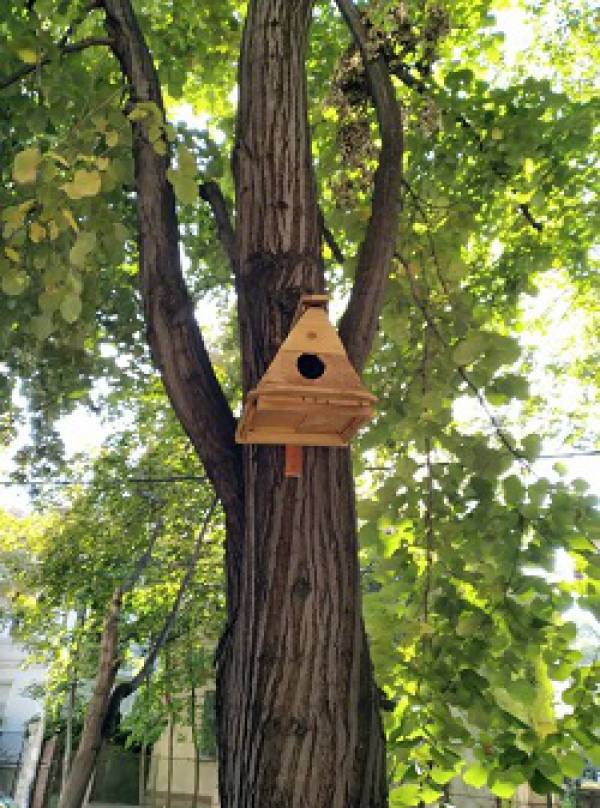 КУЋИЦЕ ЗА ПТИЧИЦЕ